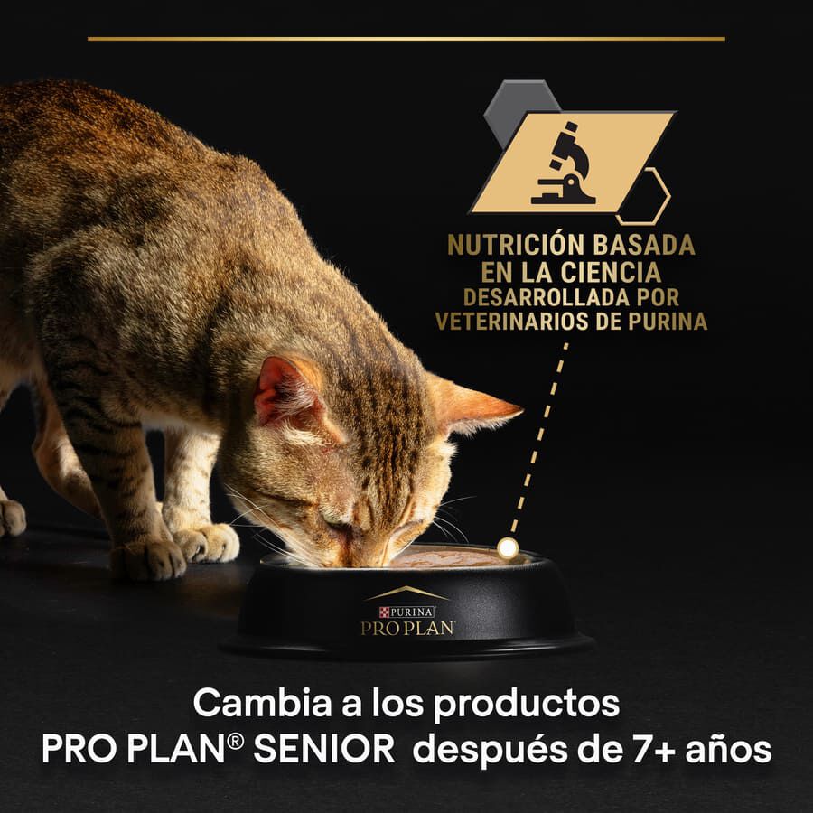 10 sobres x 75 g Pro Plan  Sobres Bacalao para gatos esterilizados, , large indicador imagen numero 7